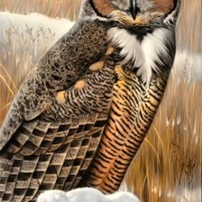 Схема вышивки «№1668909»