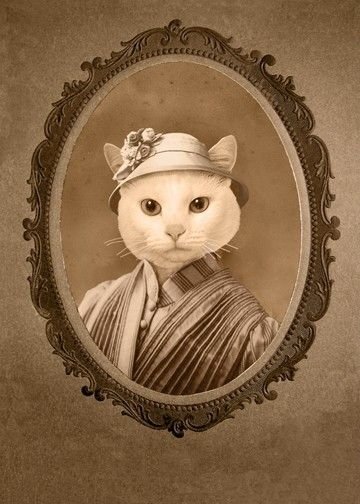 Котик - кот, арт, портрет - оригинал