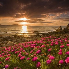 Схема вышивки «Закат»