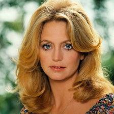 Схема вышивки «Голди Хоун»