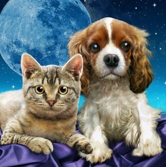 №1669934 - оригинал