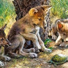 Схема вышивки «черепаха»