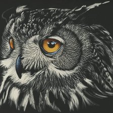 Схема вышивки «ночной страж»