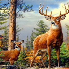 Схема вышивки «олени в лесу»