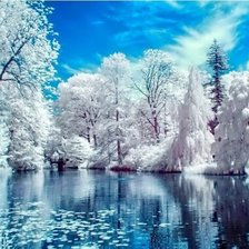 Красивая зима