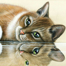 Схема вышивки «Котик»