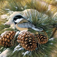 Схема вышивки «синичка»