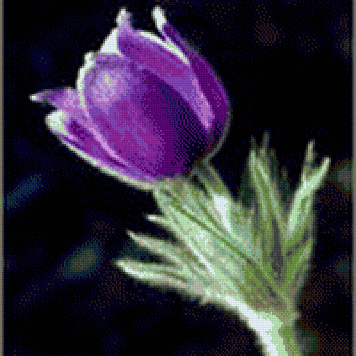 подснежник - предпросмотр