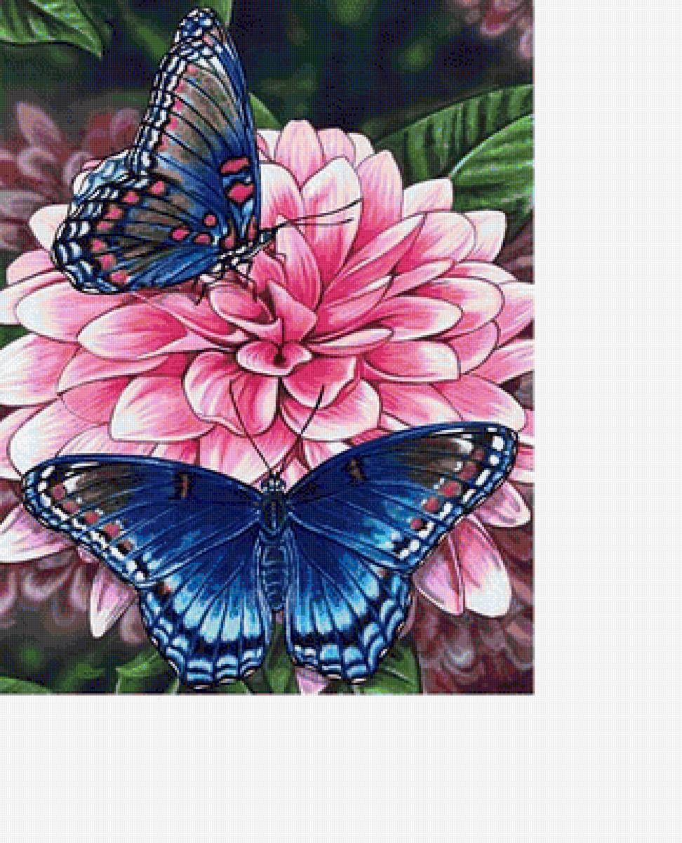 №1670308 - предпросмотр