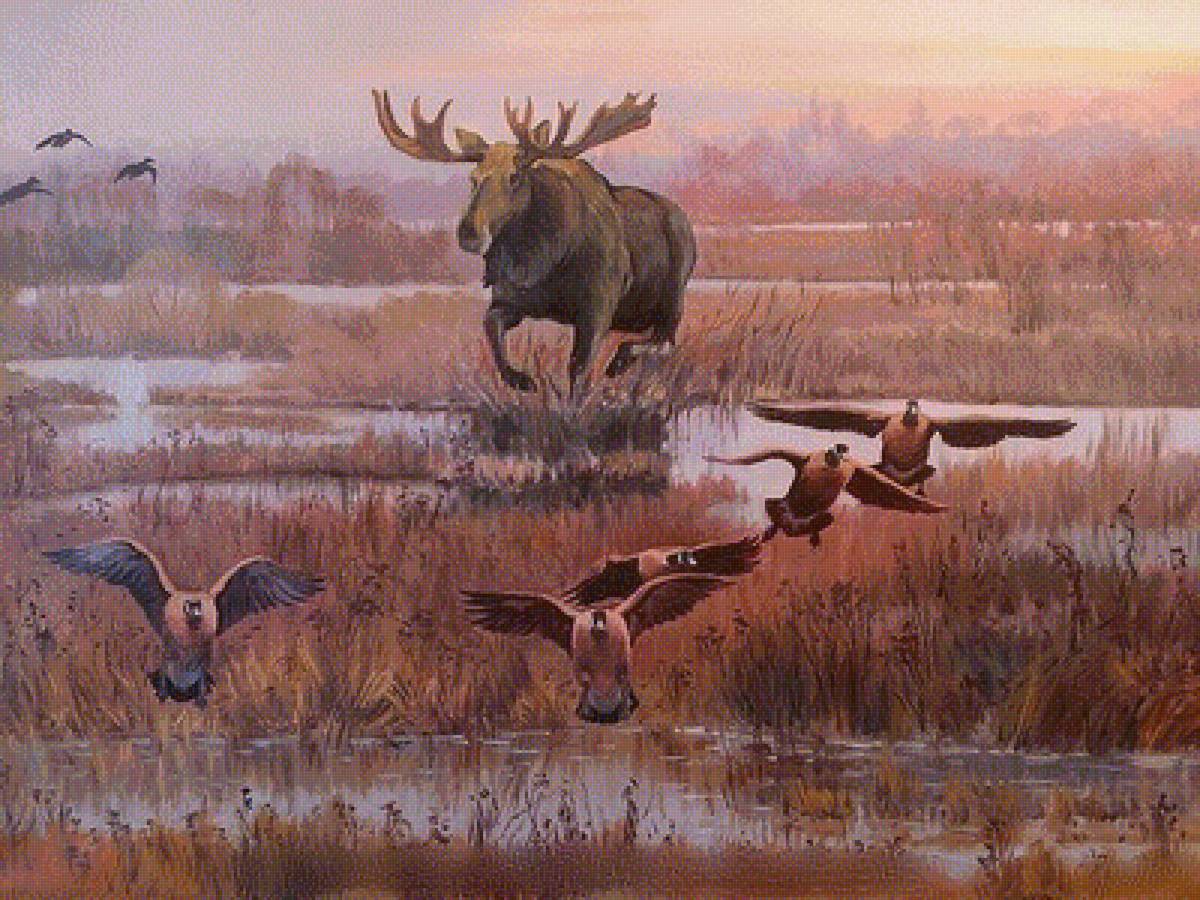 лось - предпросмотр