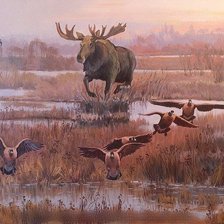 Схема вышивки «лось»