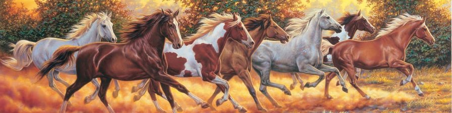 веселые скачки - кони - оригинал