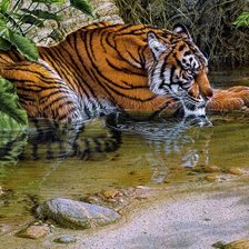 Схема вышивки «№1670960»