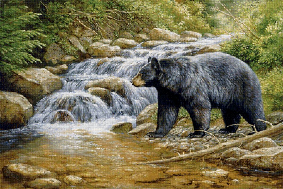 №1670981 - дикие животные - предпросмотр