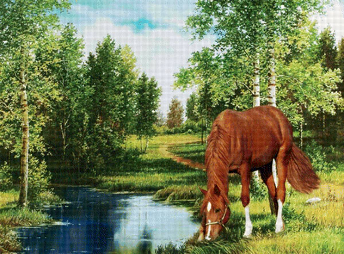 на природе - пейзаж, природа, животные - предпросмотр