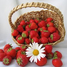 Схема вышивки «№1671108»