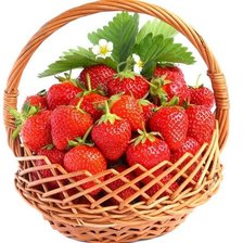 Схема вышивки «№1671123»