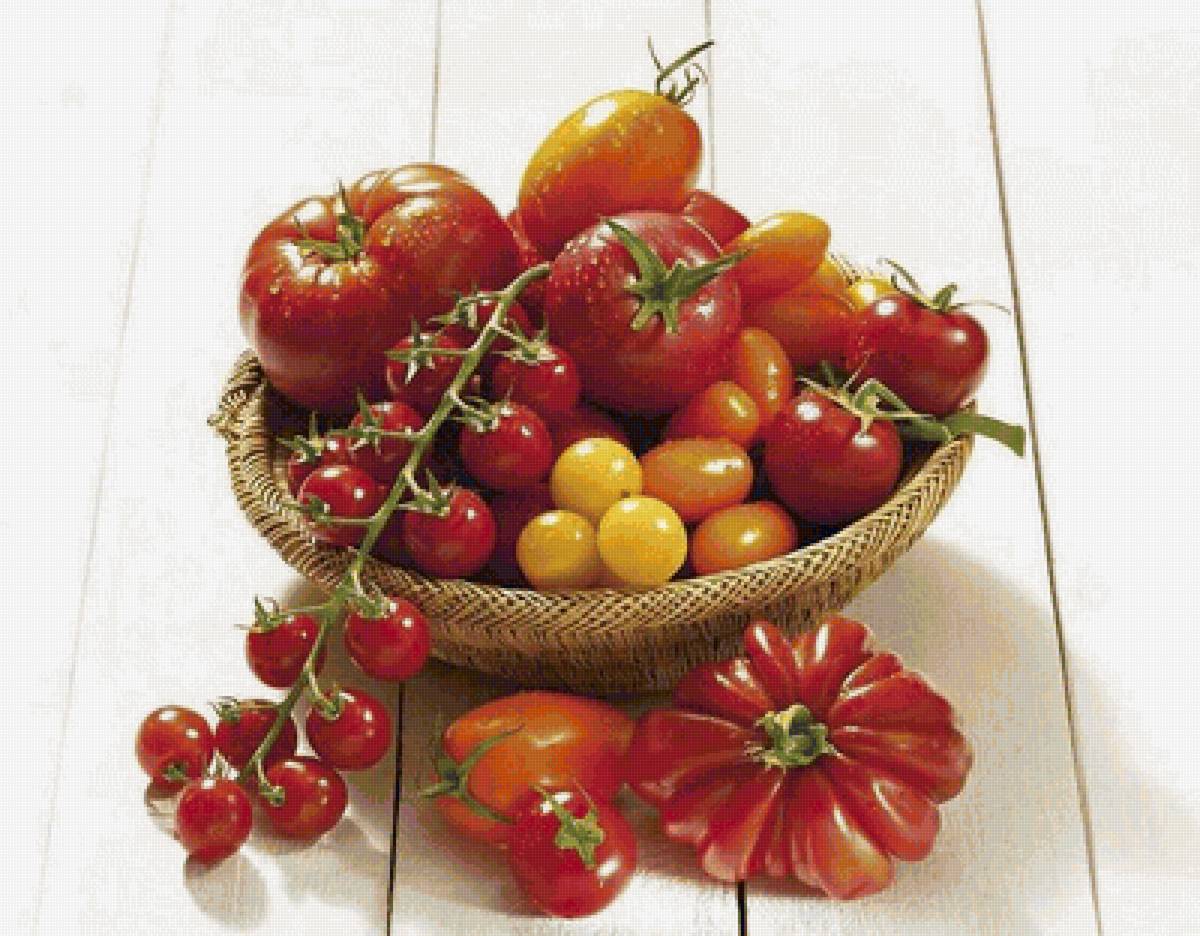 №1671130 - предпросмотр