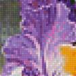 Предпросмотр схемы вышивки «Ирисы» (№1671165)