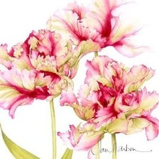 Схема вышивки «ТЮЛЬПАНЫ»