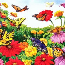 дом бабочек