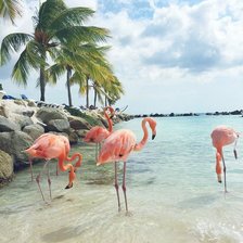 Схема вышивки «Фламинго и пальмы»