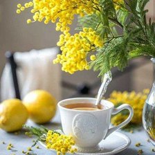 Схема вышивки «утро»