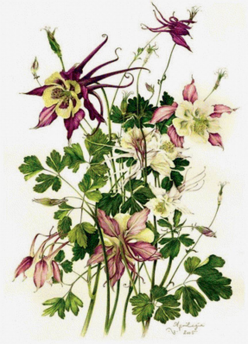 Ботаника - предпросмотр