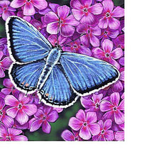 Схема вышивки «№1672190»