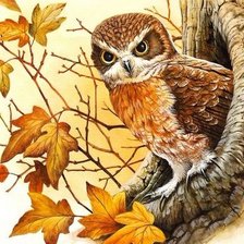 Схема вышивки «Совушка»