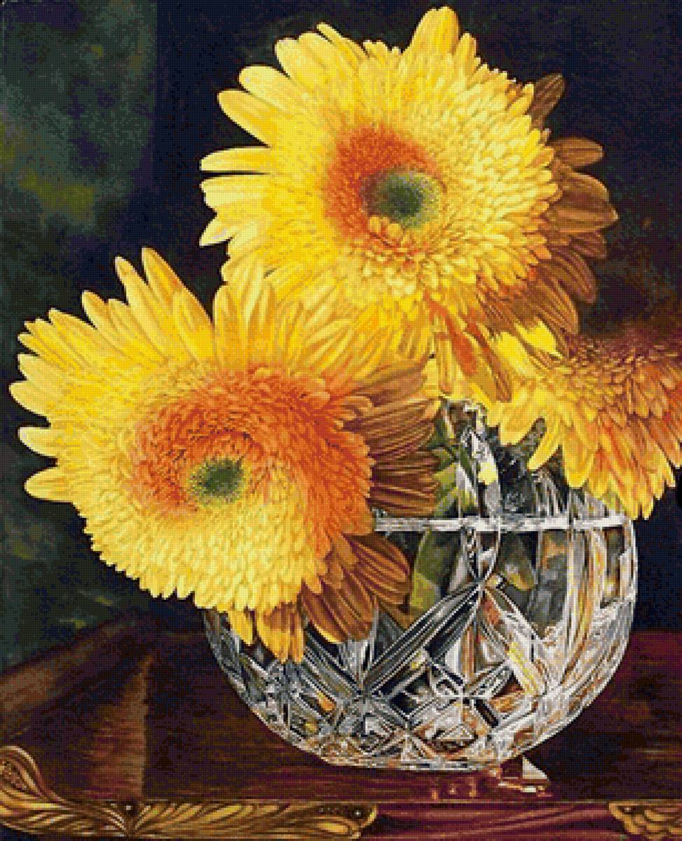 Хризантемы - цветы, хризантемы - предпросмотр