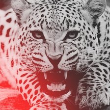 Схема вышивки «№1672972»