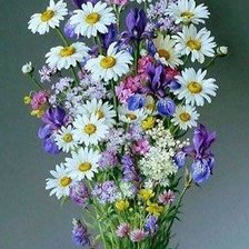 Схема вышивки «ПОЛЕВЫЕ ЦВЕТЫ»