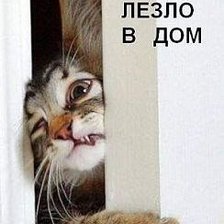 Схема вышивки «Счастье упорно лезло в дом»