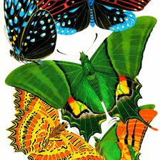 Схема вышивки «№1673619»