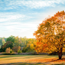 Схема вышивки «Осень»