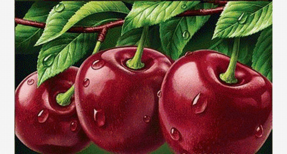 Вишенки - вишня - предпросмотр