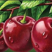 Схема вышивки «Вишенки»