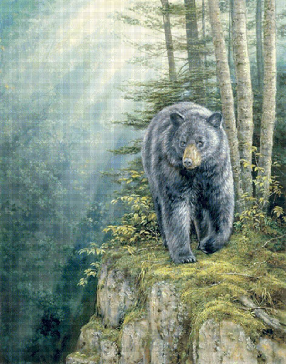 №1673963 - дикие животные - предпросмотр