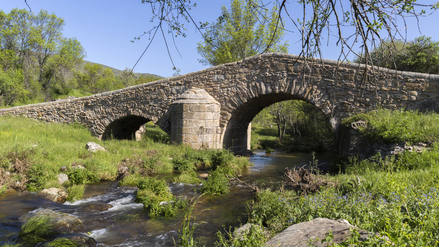 Puente del canto - canencia - оригинал