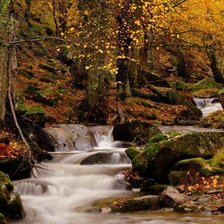Схема вышивки «Canencia Senda ecologica»