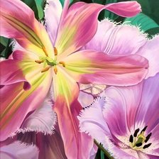 Схема вышивки «№1674080»