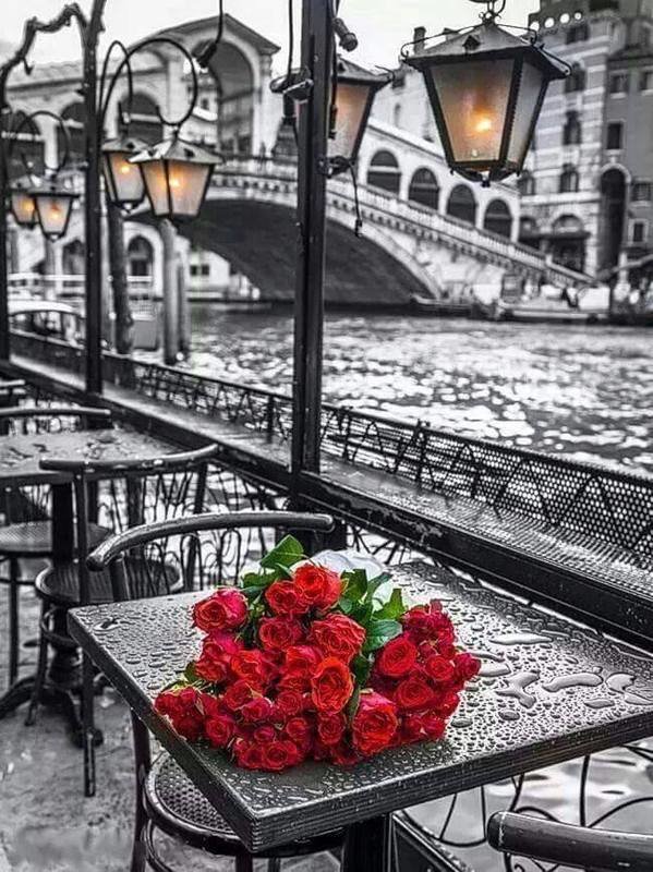 розы - городской пейзаж - оригинал