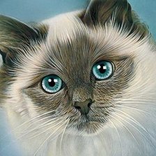 Схема вышивки «№1674240»