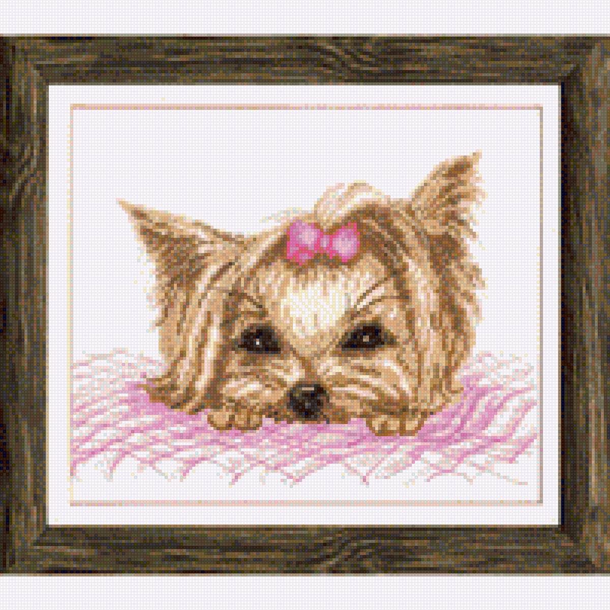 Йоркширский терьер - предпросмотр