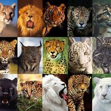 Схема вышивки «№1674541»