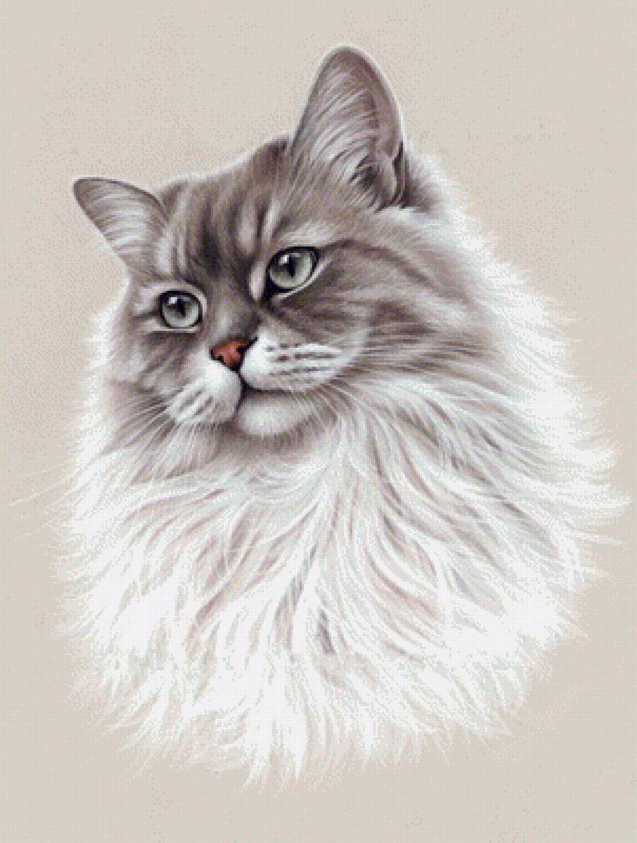 milá mačka - предпросмотр