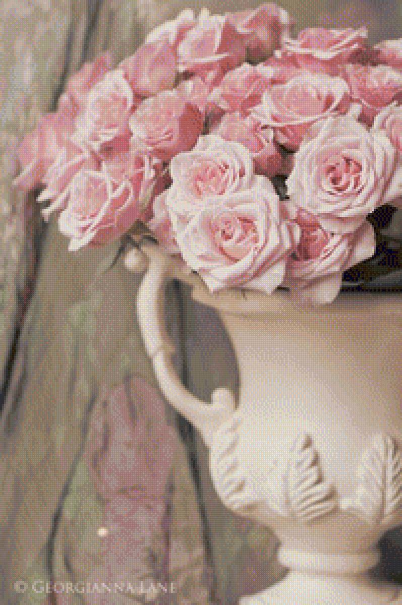 розы - розы - предпросмотр