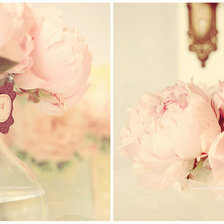 Схема вышивки «пионы»