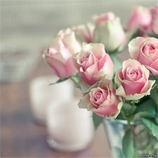 Схема вышивки «розы»